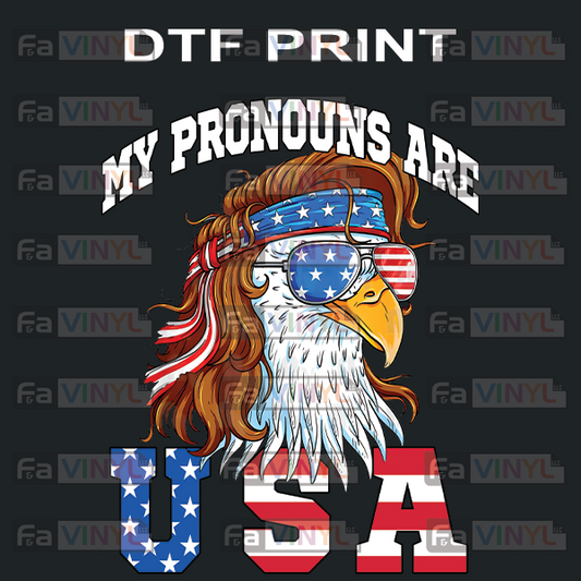 MY PRONOUNS ARE USA