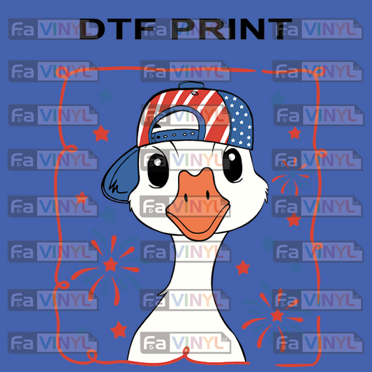 USA BOY GOOSE